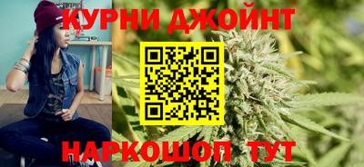гидропоника Гусев