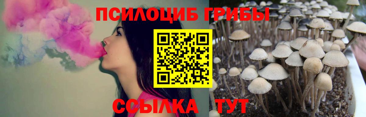 Галлюциногенные грибы GOLDEN TEACHER  Вход с VPN  Златоуст 
